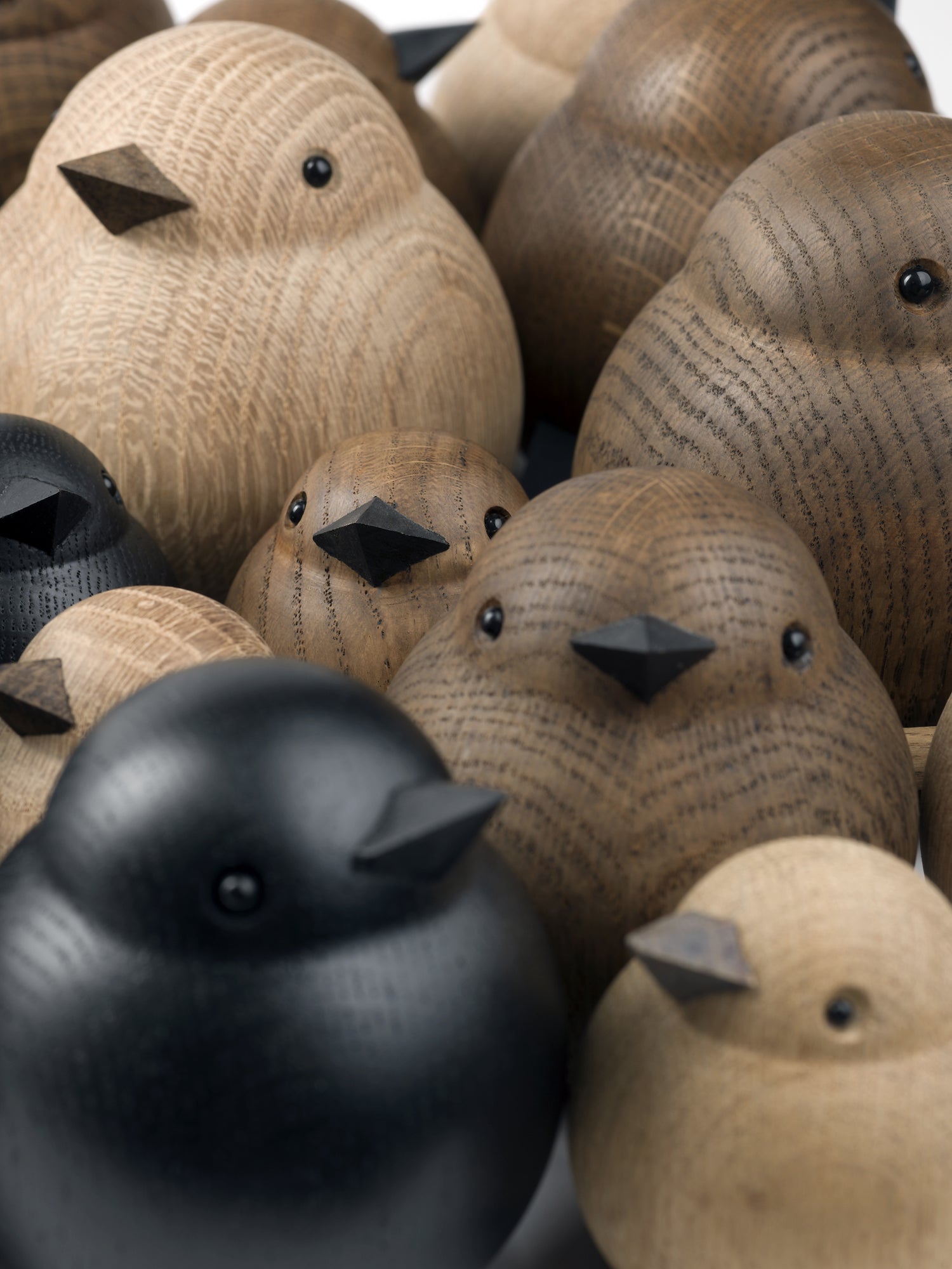 BABY SPARROW black stained oak