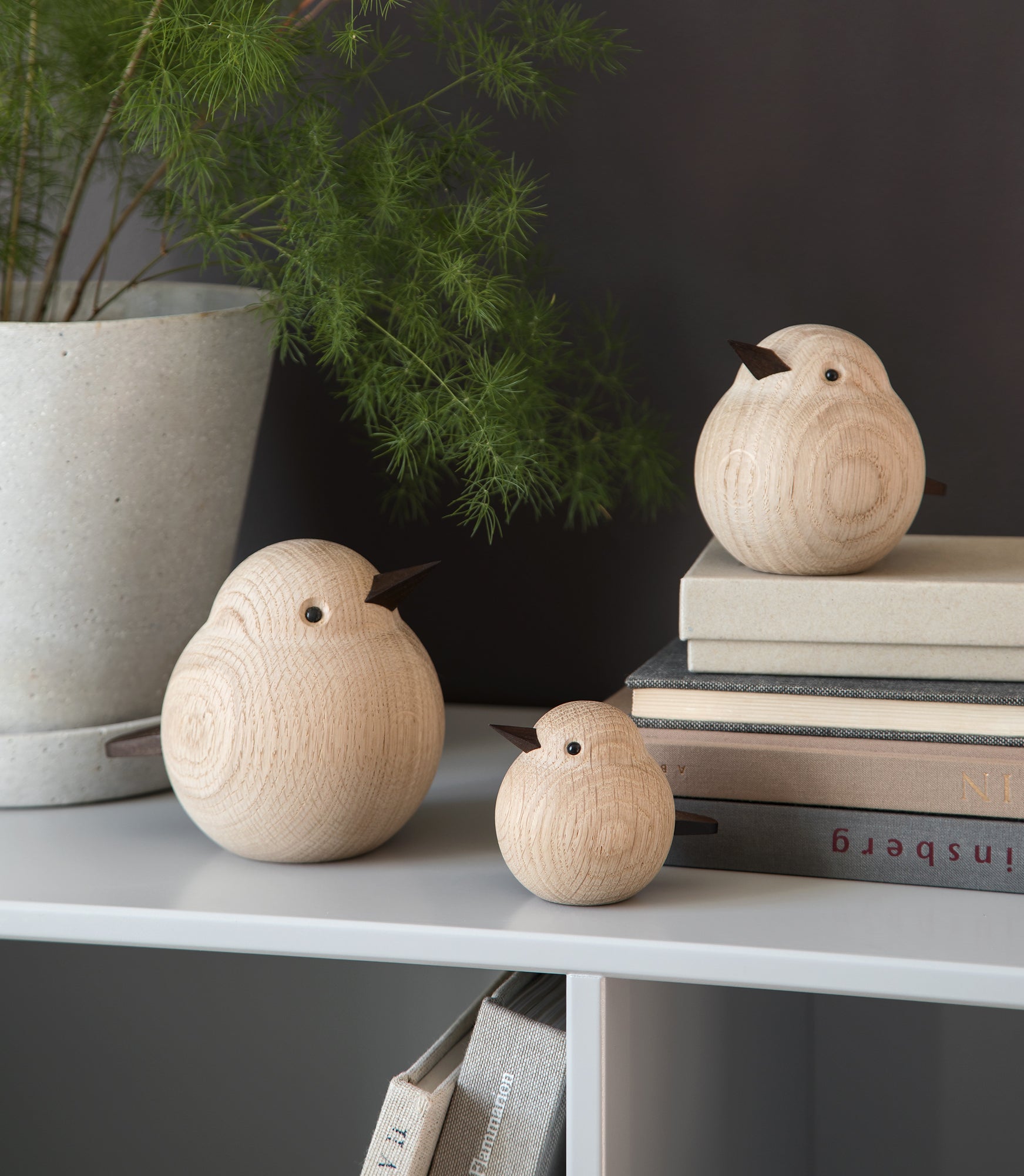 PAPA SPARROW natural oak